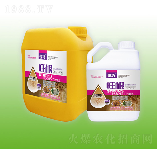 ����-����-�f���_