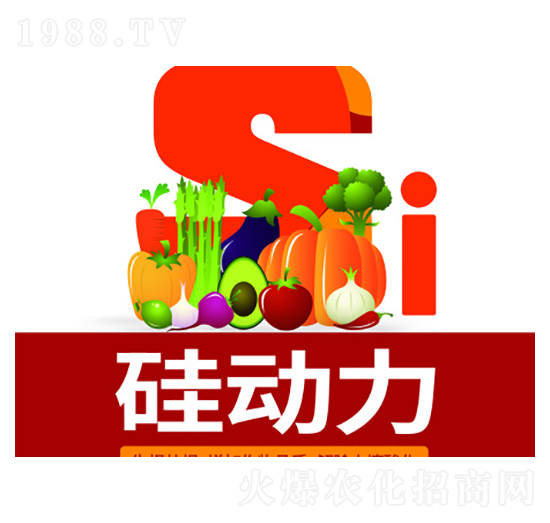 硅動力-萬事達(dá)