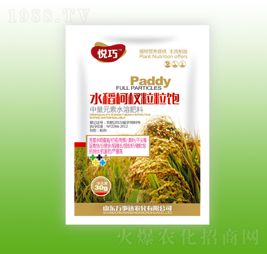 水稻柯杈粒粒飽-悅巧-萬事達