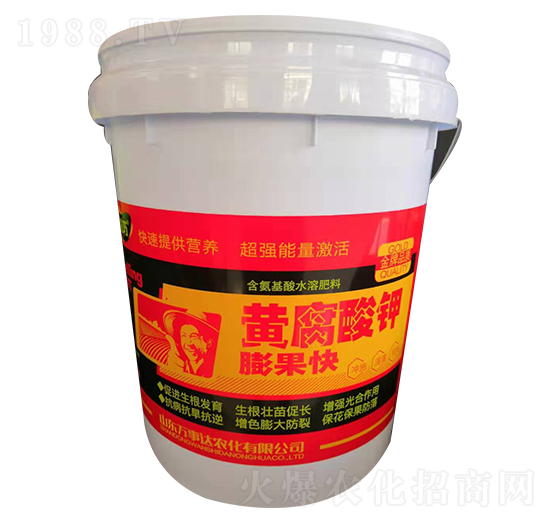 �S����⛣�Ͱ��-����-�f���_(d��)