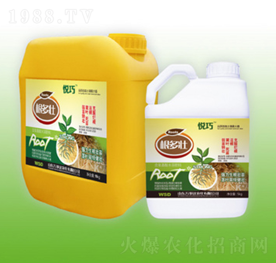 ������-����-�f���_