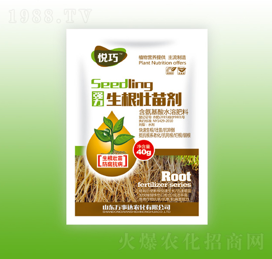 �������焩-����-�f(w��n)���_(d��)