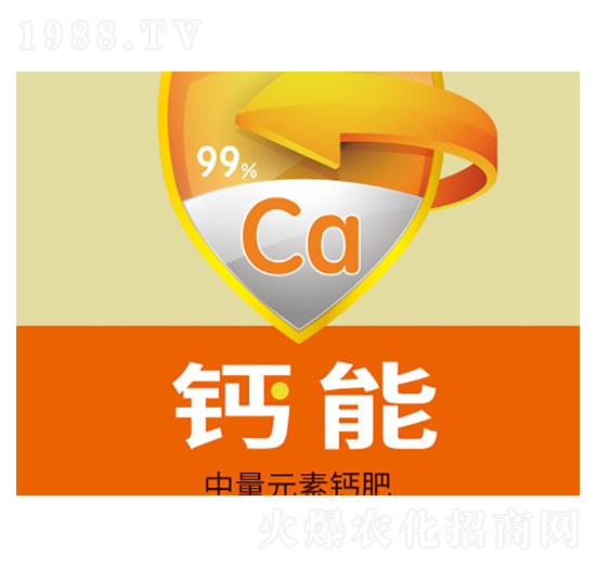 ����Ԫ���}��-�}��-�f���_