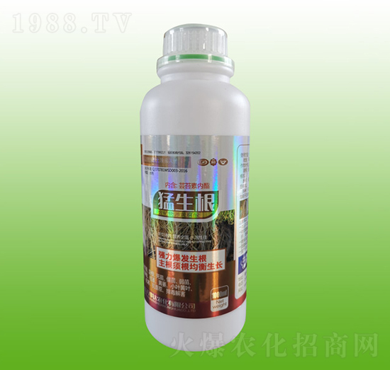 ������-�f���_(d��)