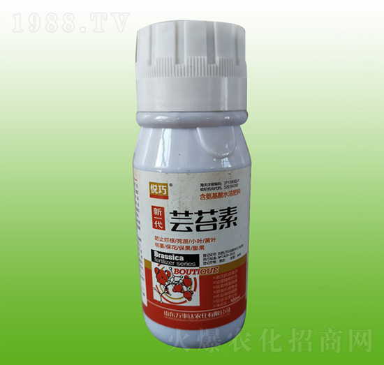 �|̦��-����-�f���_