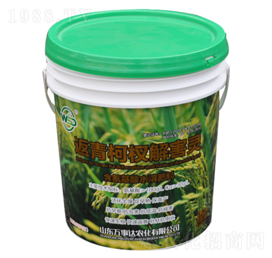 �����辽⺦�`-����-�f���_(d��)