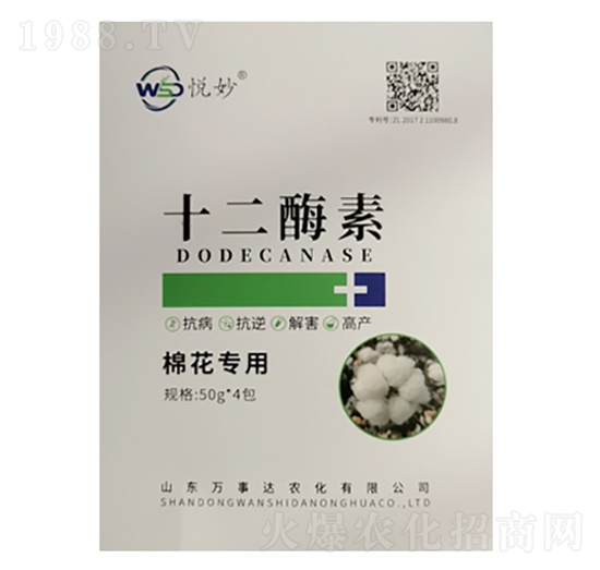 ʮ��ø�أ��޻����ã�-����-�f(w��n)���_(d��)