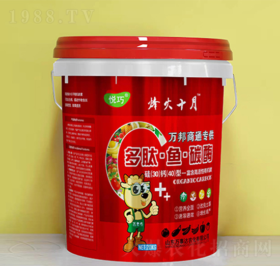 �����~(y��)̼ø-����-�f(w��n)���_(d��)