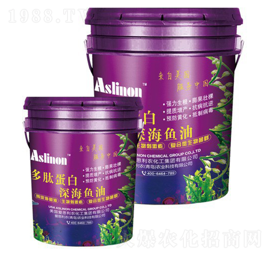 ���ĵ��ס���~��-�A�����r