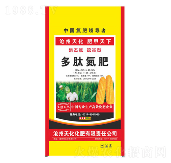 ���ĵ���-�컯�ʘI(y��)