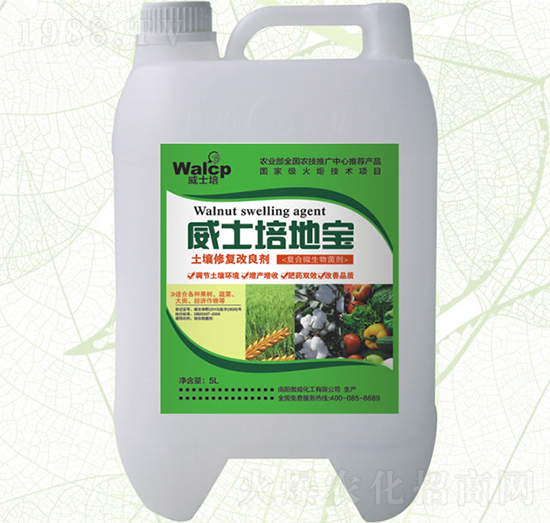 ����������-��ʿ��،�-����