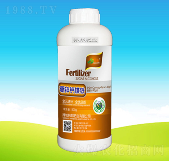 ���\�}�V�F-�n��ʘI(y��)