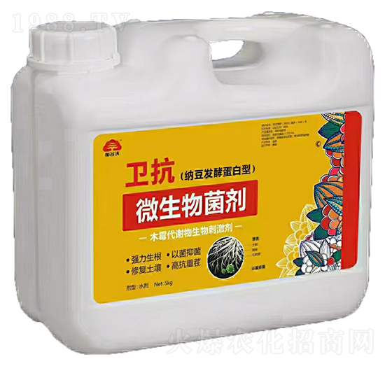 �{���l(f��)�͵�����΢�������-�l(w��i)��-�ӹ���