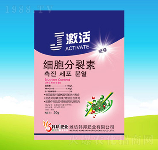 ��(x��)��������-����-�n��ʘI(y��)