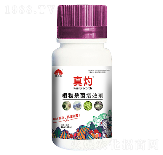 ֲ�����Ч��-����-�ӹ���