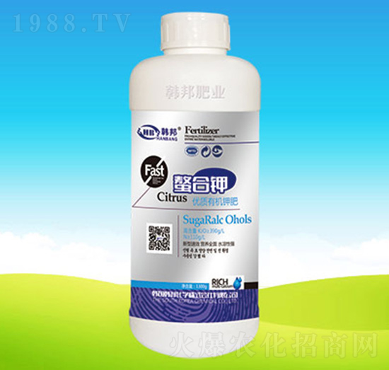 ��(y��u)�|(zh��)�ЙC⛷�-�����-�n��ʘI(y��)