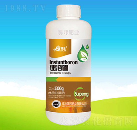 ��(y��u)�|(zh��)�ЙC(j��)���-������-�n��ʘI(y��)