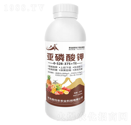 �������0-528-375+TE-�S����(m��ng)-��w�r(n��ng)