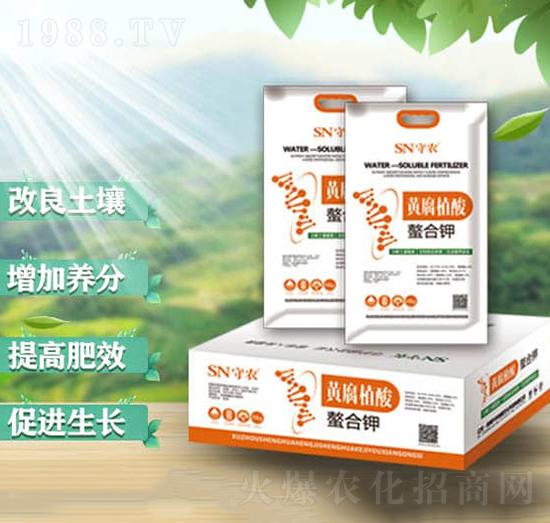 �S��ֲ�������-���r(n��ng)