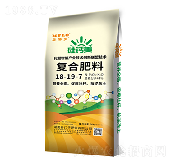 ���}����(f��)�Ϸ���18-19-7-�����_-�_�T��