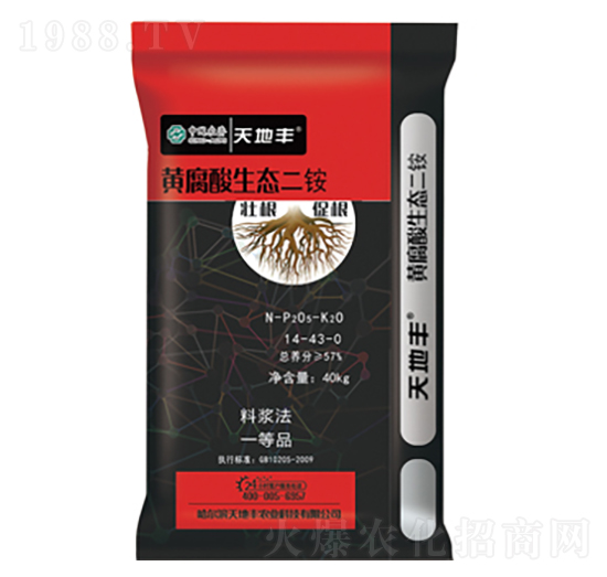 �S�������B(t��i)����14-43-0-����S