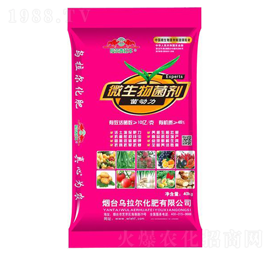 ΢�������-������-������