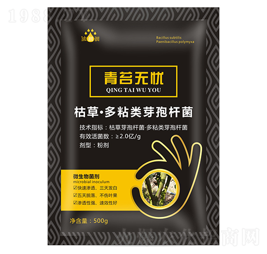 ��̦�o�n��΢���������-��p�p-�������