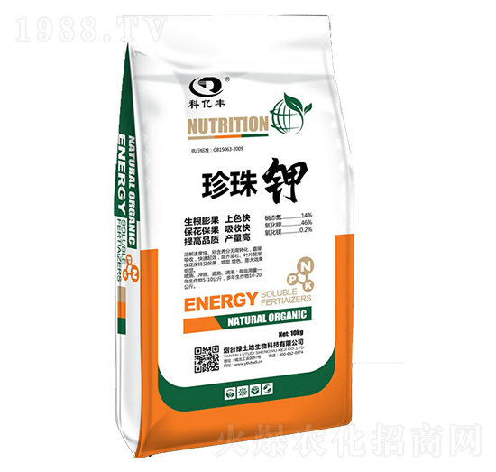 �����-�ƃ|�S-�G����