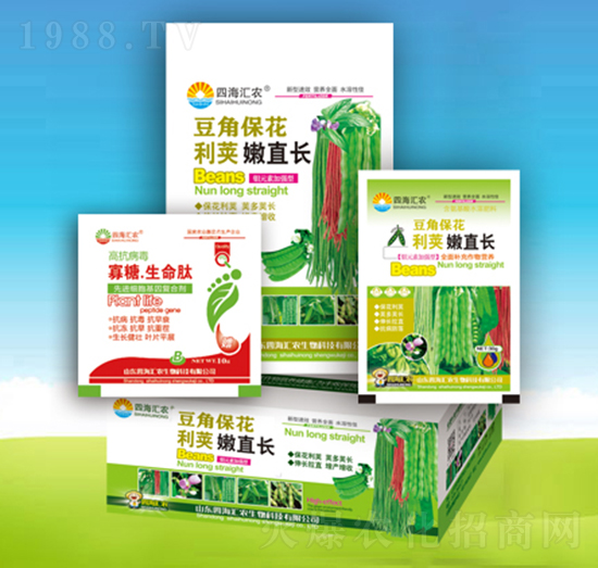 ���Ǳ������v��ֱ�L(zh��ng)-�ĺ��R�r(n��ng)