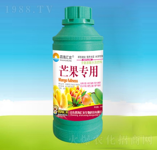 â������-�ĺ��R�r