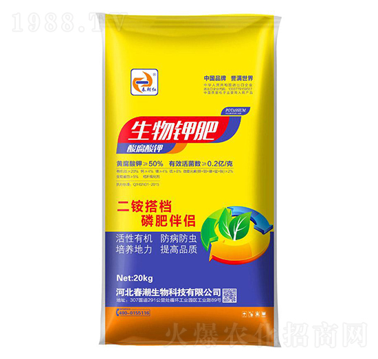 ����⛷�-�����t