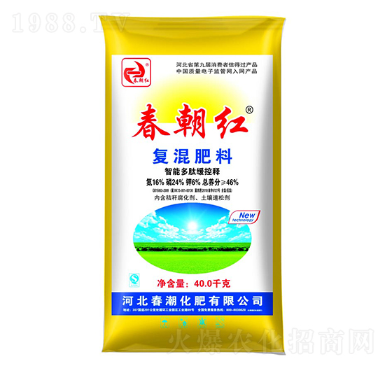 �ͻ����16-24-6-�����t