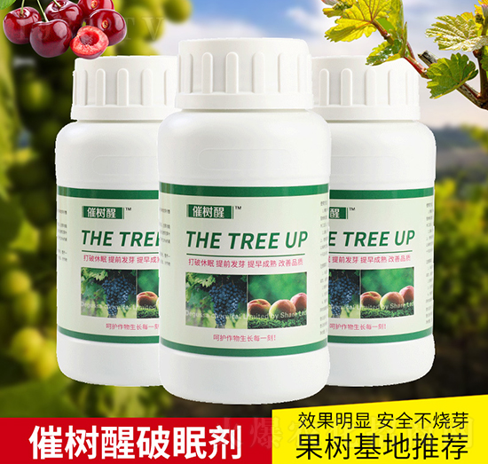 �ߘ�(sh��)�����߄�-΢���r(n��ng)�I(y��)