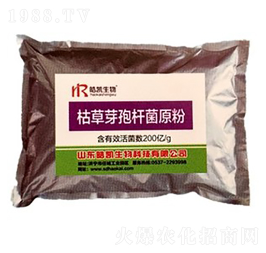 �ݲ�ѿ�ߗU��ԭ��-�P����