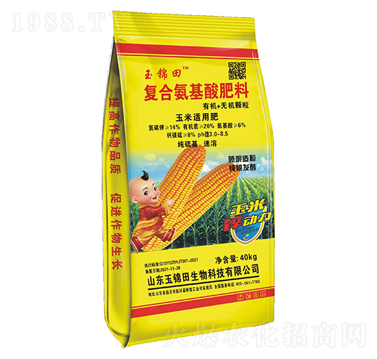 �����m�Ï�(f��)�ϰ��������-���\��