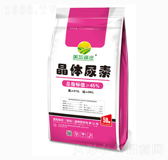 ���w����-���Ӻ��f