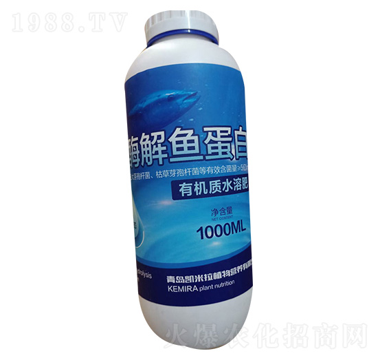 ø���~����-�P����