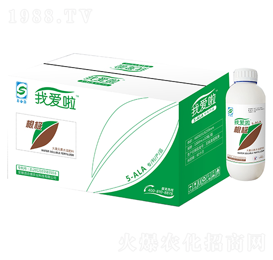 ���O-�z���r�I(y��)