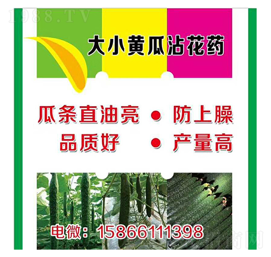 ��С�S��պ��ˎ-�����r(n��ng)�I(y��)