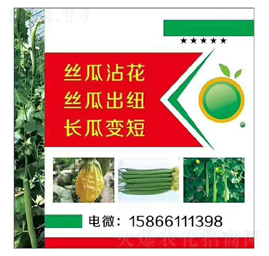 �z�ϡ��L��մ��׃�̳��~-�����r(n��ng)�I(y��)