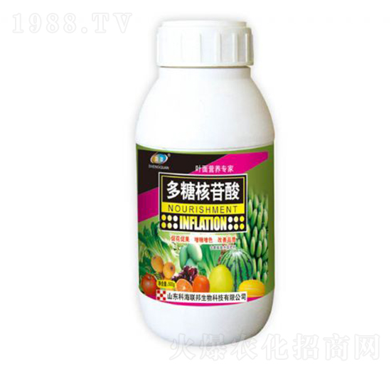 ���Ǻ�����-�ƺ���