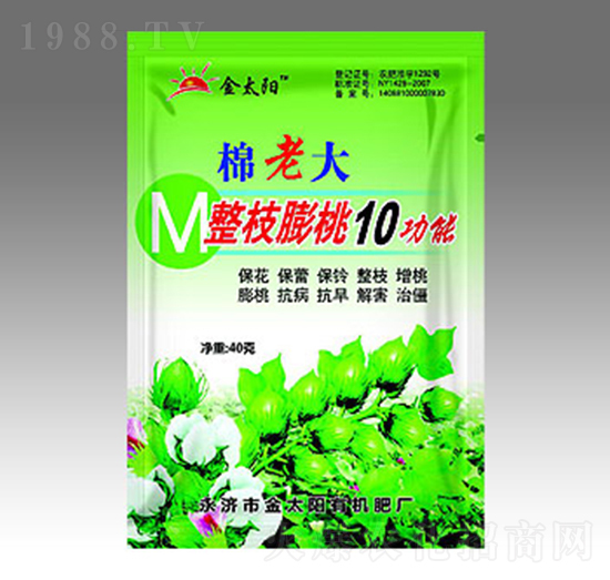 ���ϴ���֦����10����-��̫�(y��ng)�ʘI(y��)
