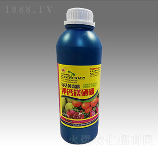 ��}�V����-��̫ꖷʘI(y��)