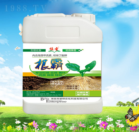 ����-ֲʥ-��Ұ�r��