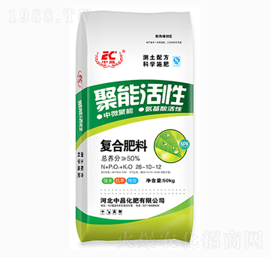 ���ܻ��ԏͺϷ���28-10-12-�в�����