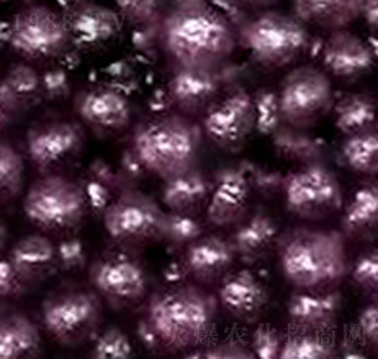 樹脂有機(jī)肥-聚普豐