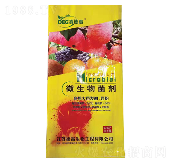 ����󶹰l(f��)�Ͷ���-�¸�����