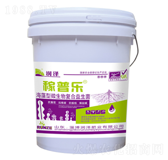 ������΢�����(f��)��������-���՘�-���ɷʘI(y��)