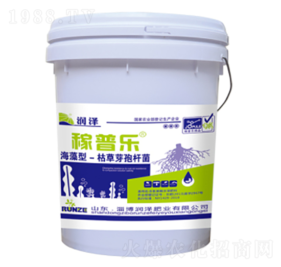 海藻型枯草芽孢桿菌-稼普樂-潤澤肥業(yè)