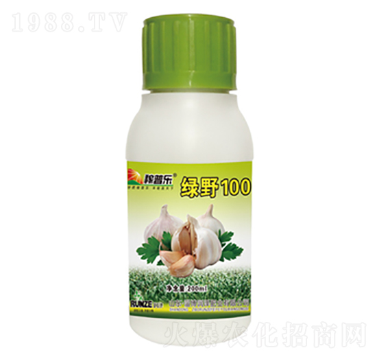 大蒜專用葉面肥-綠野100-潤澤肥業(yè)